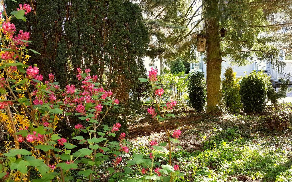 Ferienhaus Sanssouci Stahnsdorf Kültér fotó